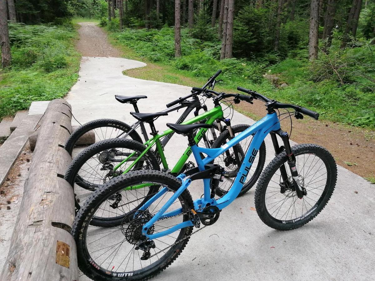 White Lavina - Ski, Bike, Hike บันสโก ภายนอก รูปภาพ